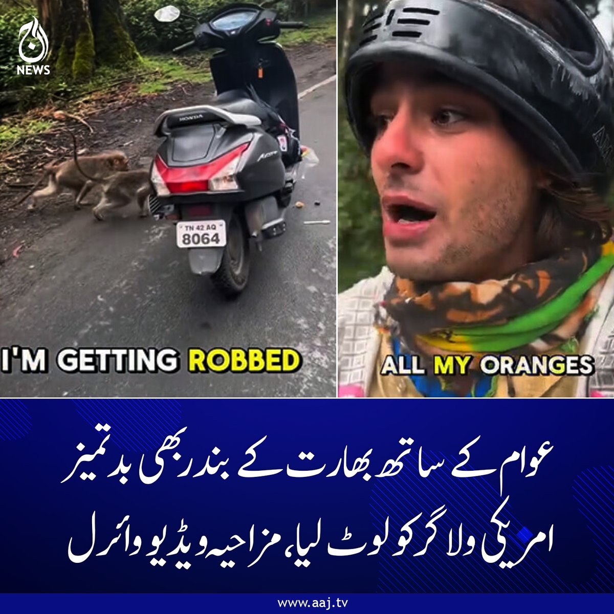 Aaj_Urdu's tweet photo. 'ڈکیتی' کی انوکھی واردات: بھارت میں امریکی ولاگر کو بندروں نے لوٹ لیا، وڈیو وائرل
مزید پڑھیے: https://t.co/cclY6cu8SL
#AajNews #MonkeyTheft #ViralVideo #IndiaNews #FunnyRobbery #USVlogger #MonkeyBusiness #WildlifeEncounters #TrendingNow https://t.co/0vBz6VEP1T