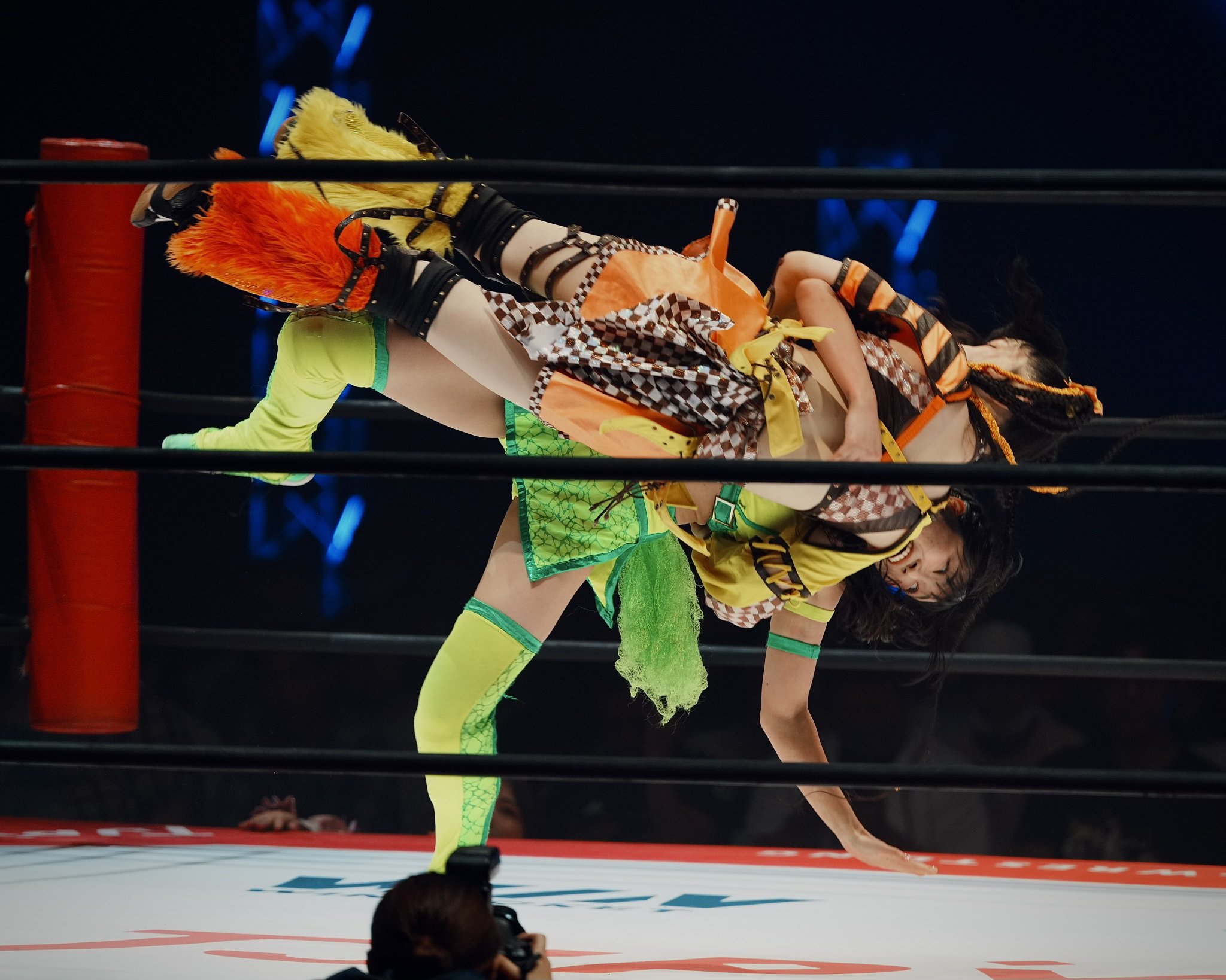プロレス写真とりお on X: 