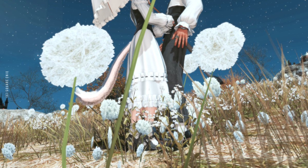 P゜ (@puti_yo) / Posts / X
