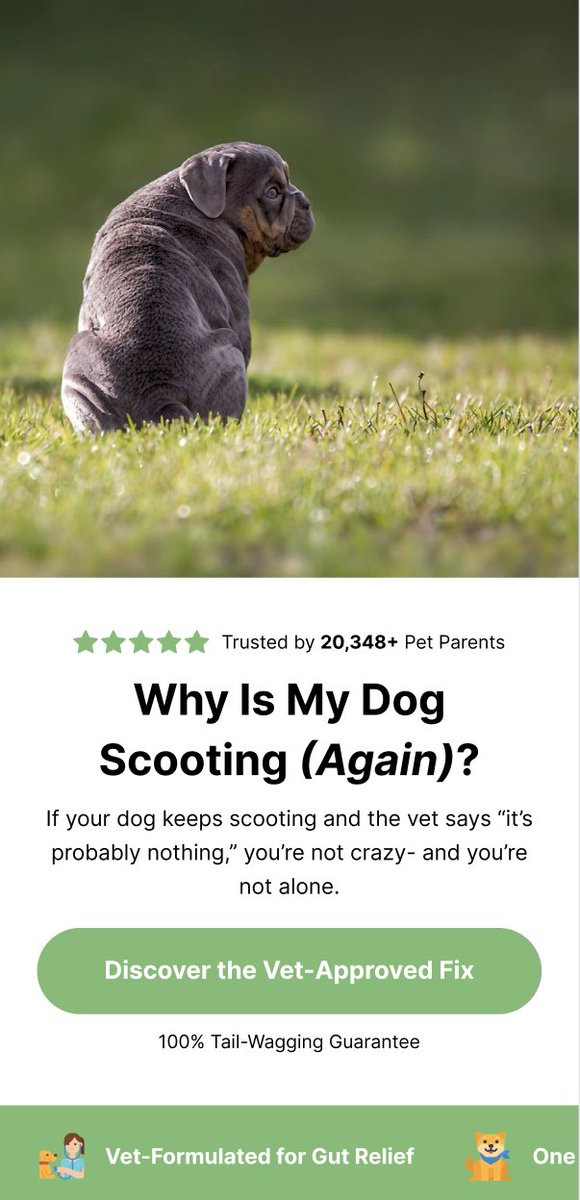 GeorgeCRO tweet media