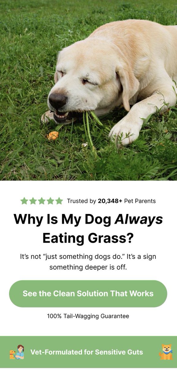 GeorgeCRO tweet media