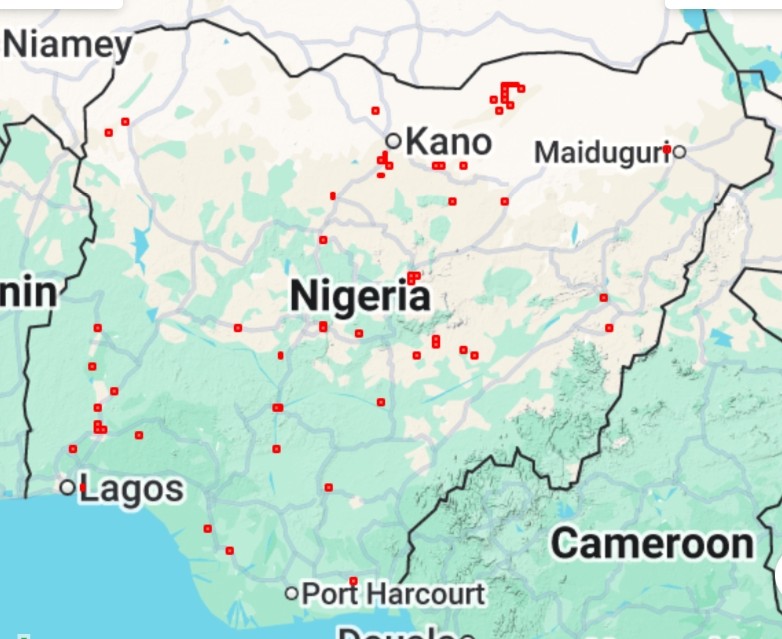 BirdNigeria's tweet image. Allen&apos;s Gallinule (Porphyrin alleni)

An intra-African migrant, with some resident populations in permanent wetlands. Locally common resident in Nigeria.

Threats: destruction of wetlands and local consumption.
📷: @SIR_JOE11 
#CitizenScience
#BirdsSeenIn2025