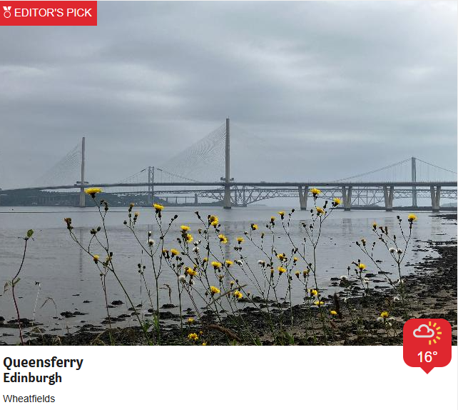 BBCScotWeather's tweet image. A grey start for many, but not all, this morning - perfectly captured by our talented #BBCWeatherWatchers. Joy
