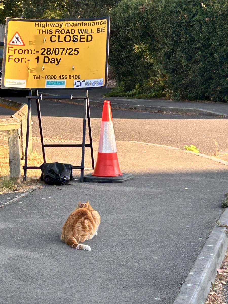 Scrimgeour_l's tweet image. As it says - wasn’t feeling it today. 
Maybe should have told the cat it’s not the 28th yet 🤣 . Happy Wednesday @RunATWorld #TeamNaughtynutcrackers #runaroundtheworld #TeamNomads