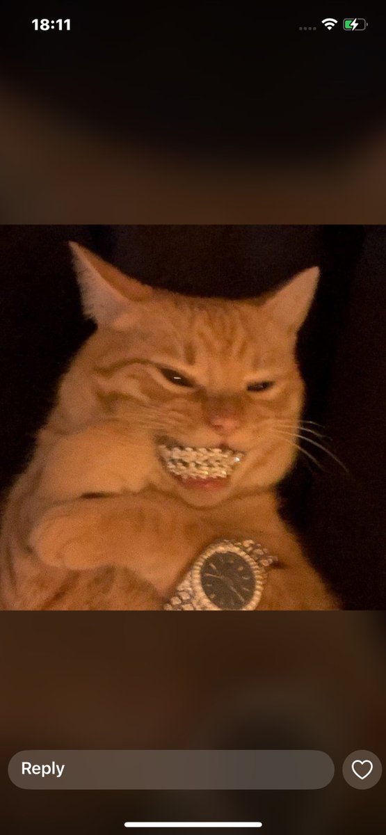 0xSamXBT's tweet image. Life as a ZK enjoyer lately
@boundless_xyz gives me infinite power.
@cysic_xyz gives me infinite speed.
Now I’m just sitting here trying to remember the last time I was this happy.