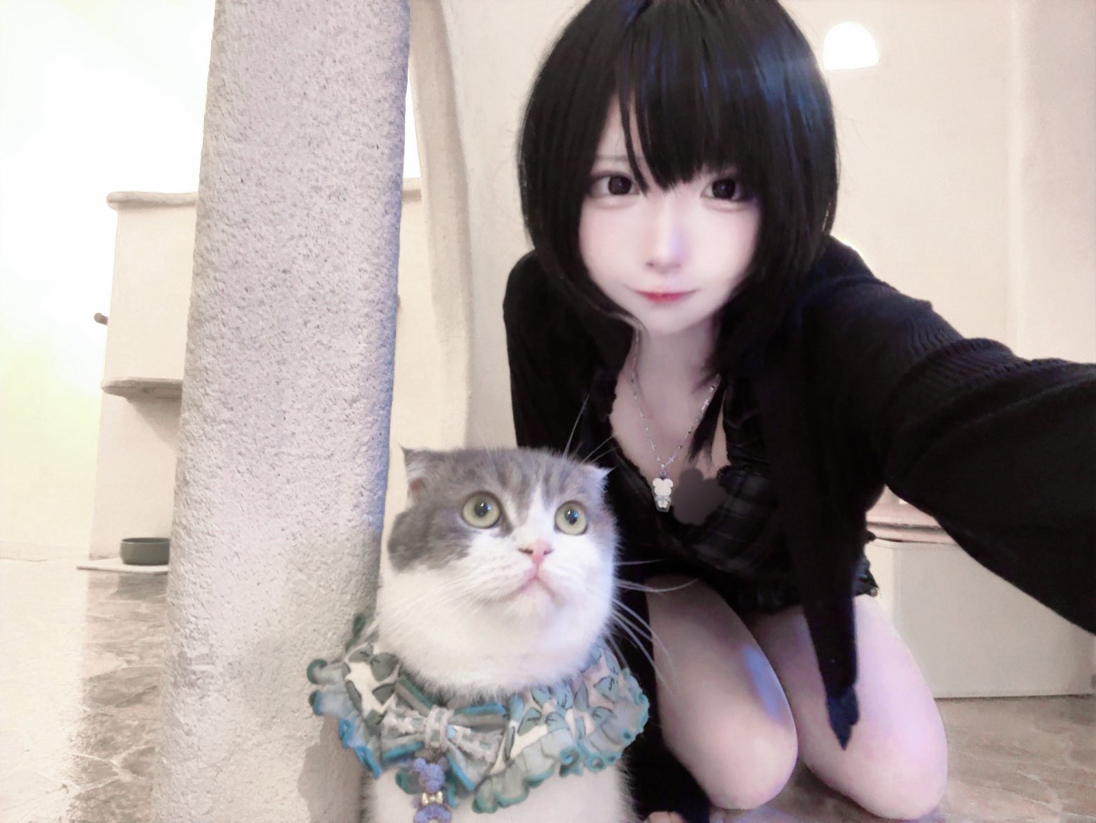ねこにゃむ Amazon.co.jp: ZENIX DESIGN TECH iPhone15 Pro 用 ケース