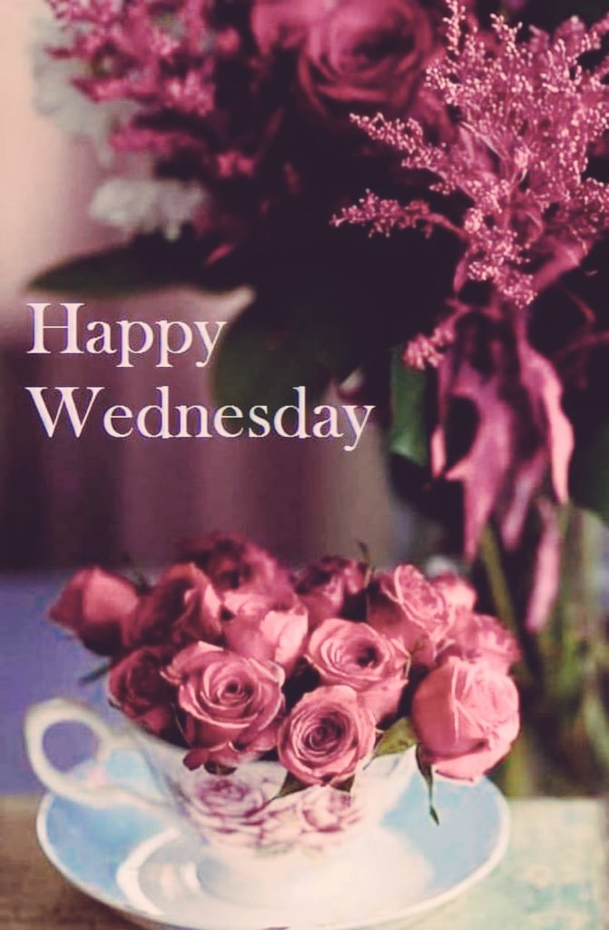 85HotSmartChick's tweet image. ⚘ ❤ ☕ 🌷 🌺 🌷 ☕ ❤ ⚘ 🌷Good Morning And A
Very Happy Wednesday🌷
Have A Wonderful Day My
Friends 🌷⚘☕☺ 🤗 😘