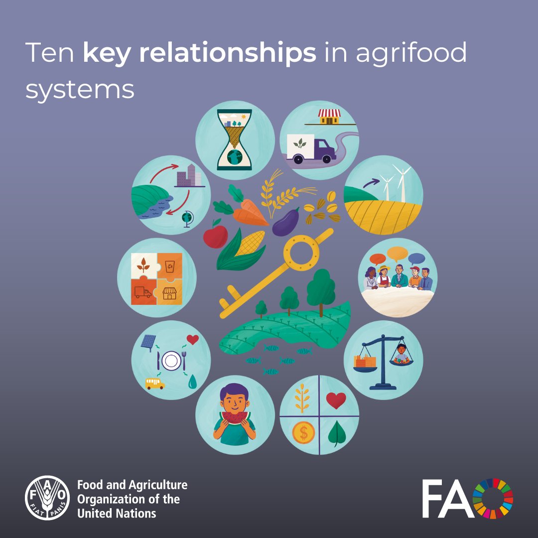 FAOGeneva's tweet image. Transformed agrifood systems deliver lasting, interconnected benefits for people, nature &amp;amp; economies:

🌾Sustainable production 
🥗Healthier diets 
⚖️Fairer outcomes 
🛡️Greater resilience

Happening in countries worldwide!
Explore the #SystemsApproach 👉
doi.org/10.4060/cd6071…