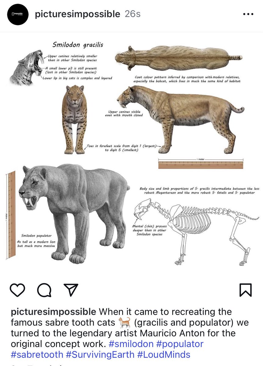 TMtheEQplusNerd's tweet image. Oh wow they also got Mauricio Anton to work on Surviving Earth too
This is gonna be peak paleo media of 2026 fr fr
