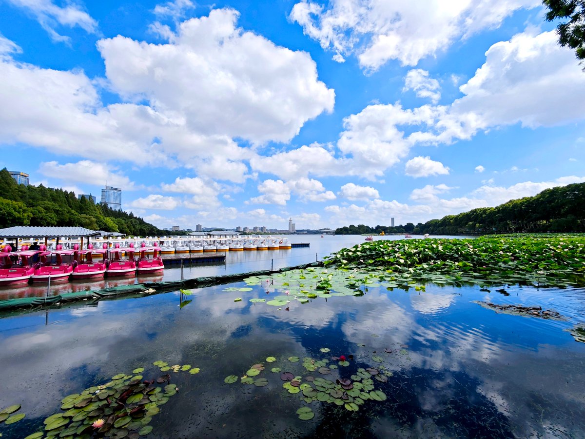 ModernExpressEN's tweet image. ☀️ What does summer look like in your camera?
📸 Drop your favorite shots in the comments! We’d love to see all those sunny moments and fun vibes!
#summervibe #hotsummer