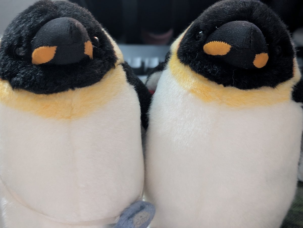 takeuchinameko's tweet image. 通院日でした🏥
今日も付き添いありがとね🐧