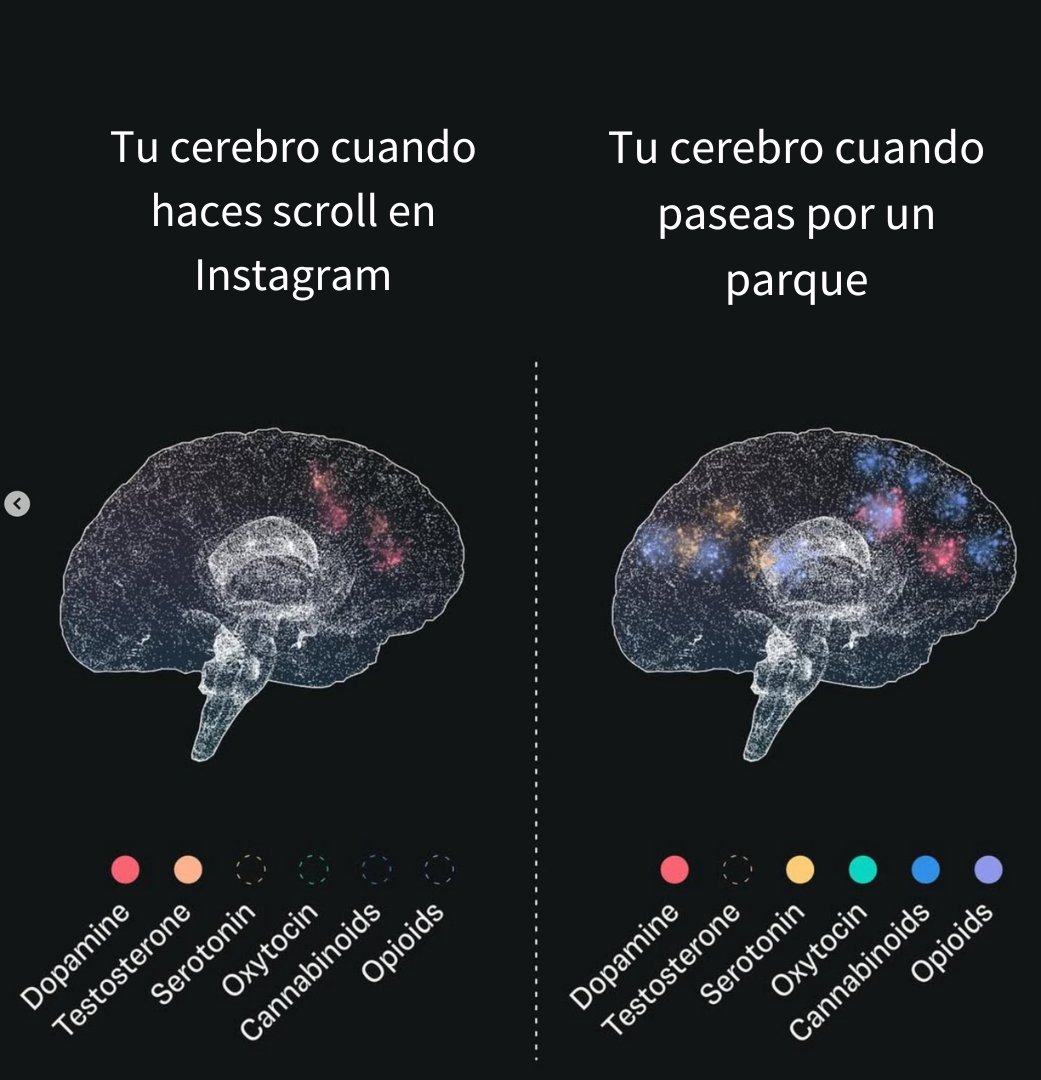 psicologiamente's tweet image. Un estudio compara como responde el cerebro ante 𝗲𝘅𝗽𝗲𝗿𝗶𝗲𝗻𝗰𝗶𝗮𝘀 𝗱𝗶𝗴𝗶𝘁𝗮𝗹𝗲𝘀 𝘆 𝗲𝘅𝗽𝗲𝗿𝗶𝗲𝗻𝗰𝗶𝗮𝘀 𝗳í𝘀𝗶𝗰𝗮𝘀. Los hábitos de consumo digital priorizan la dopamina rápida, un atajo hacia el placer con componente adictivo. 

#psicologia #cerebro #dopamina