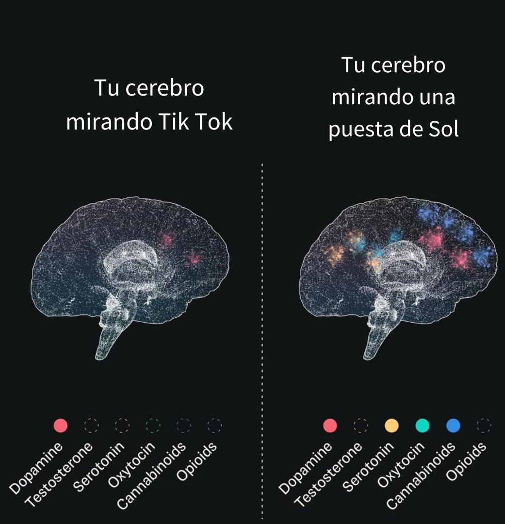 psicologiamente's tweet image. Un estudio compara como responde el cerebro ante 𝗲𝘅𝗽𝗲𝗿𝗶𝗲𝗻𝗰𝗶𝗮𝘀 𝗱𝗶𝗴𝗶𝘁𝗮𝗹𝗲𝘀 𝘆 𝗲𝘅𝗽𝗲𝗿𝗶𝗲𝗻𝗰𝗶𝗮𝘀 𝗳í𝘀𝗶𝗰𝗮𝘀. Los hábitos de consumo digital priorizan la dopamina rápida, un atajo hacia el placer con componente adictivo. 

#psicologia #cerebro #dopamina