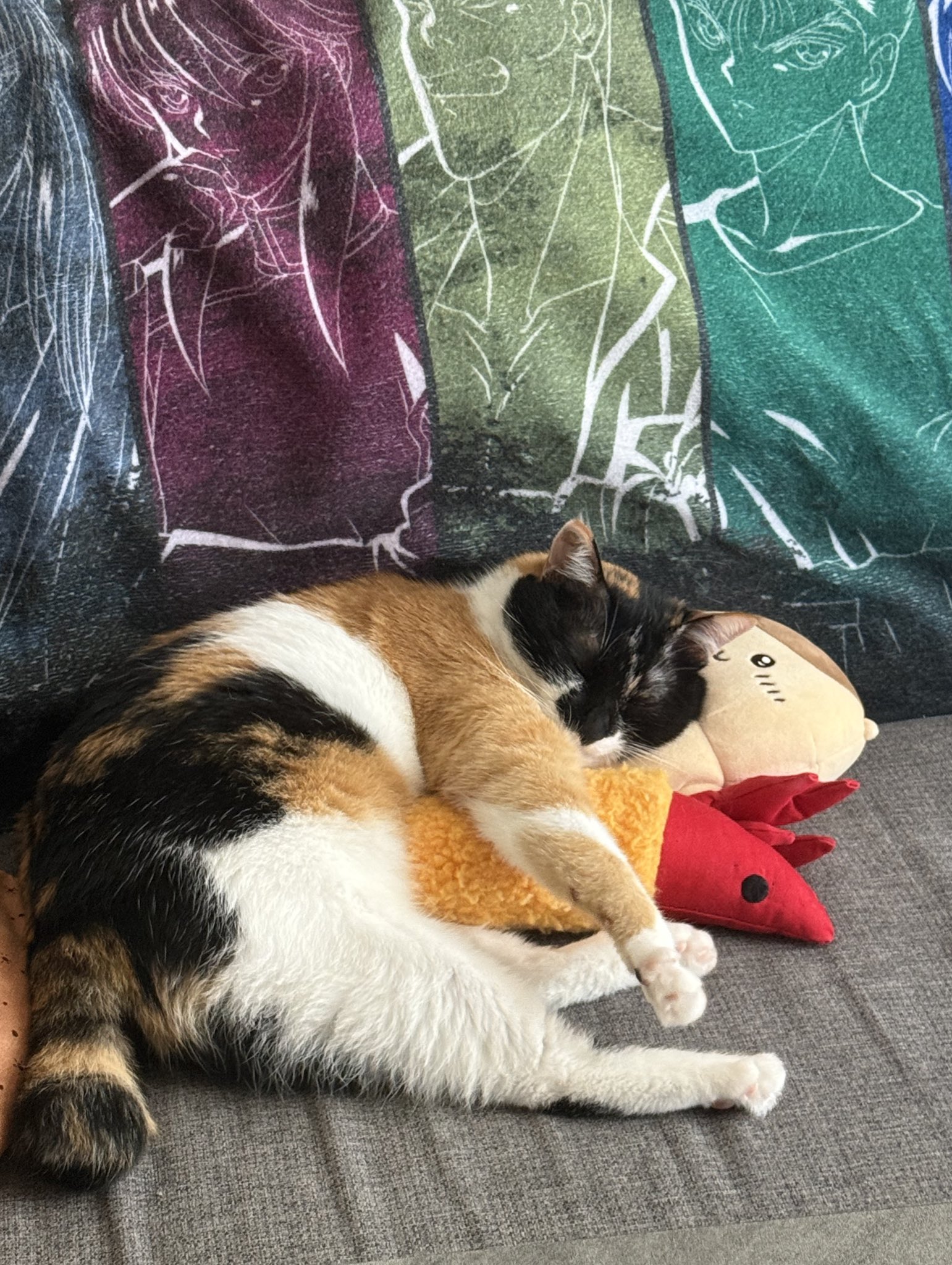 三毛猫仔猫（プロフ必読） 三毛猫ママと2匹の仔猫 - ヒトの暮らし猫との暮らし
