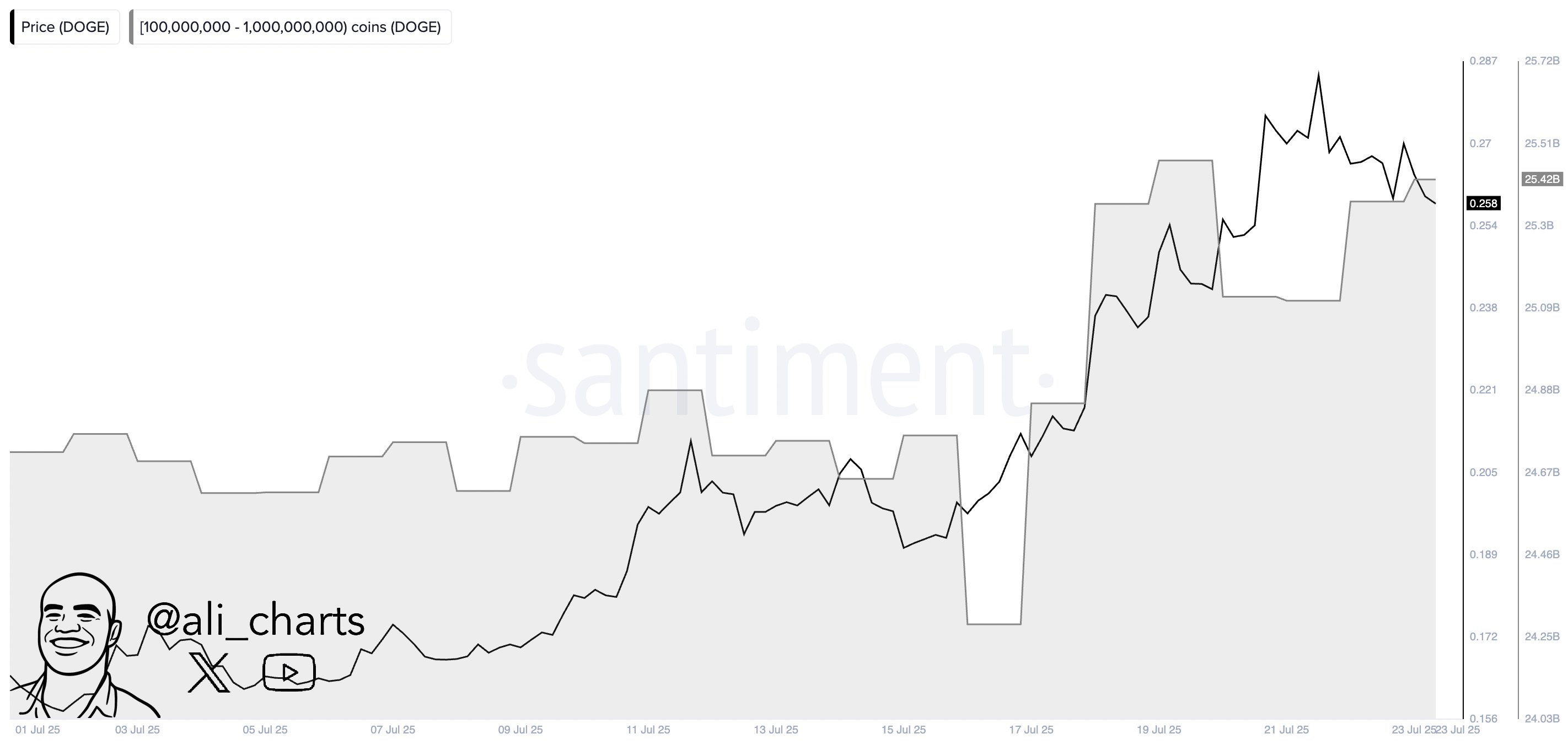 Dogecoin Whales Accumulation/Ali Martinez