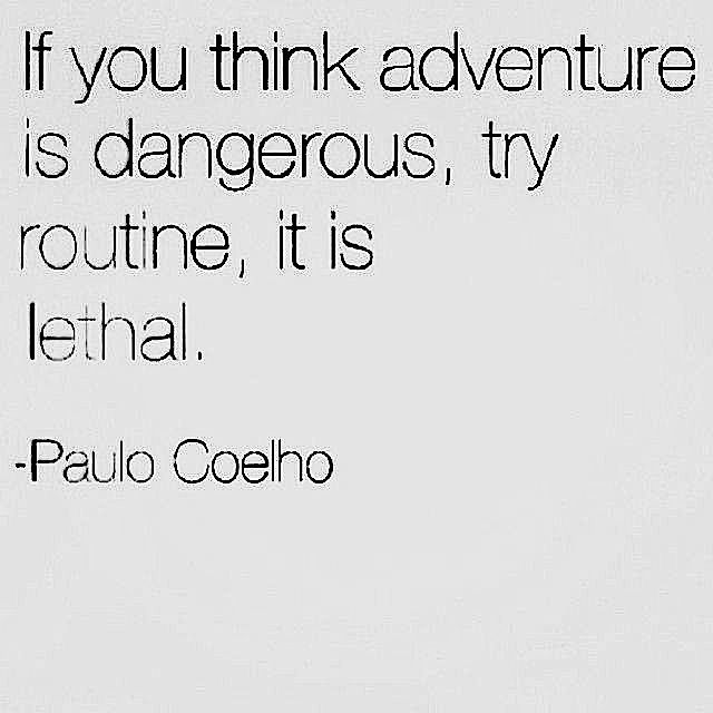beingbrilliant's tweet image. 'If you think adventure is dangerous, you should try routine. It is lethal.' #quote #paulocoelho @motivational @PhilosophyOnX