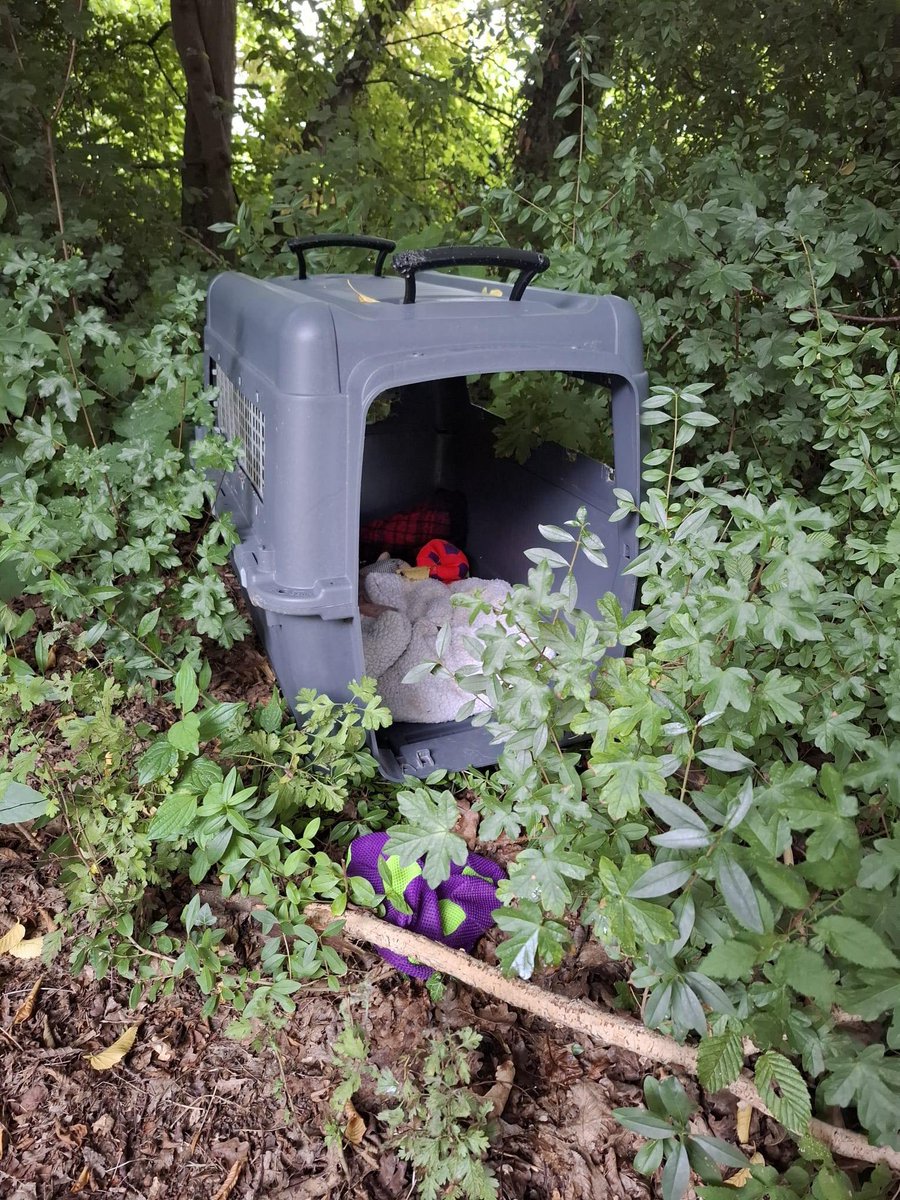 yolandaschultes's tweet photo. Tierheim Eichenhof Kopie:
Erneut eine Schocknachricht die uns wieder sprachlos lässt. Diese Hundebox wurde in Bad Oeynhausen/Wulferdingsen nähe Parkplatz Wassermühle gesichtet und uns von Mitarbeitern der Stadt zugesendet. In der Box befindet sich Hundespielzeug und eine Decke, es riecht nach Urin. Lange kann die Box noch nicht dort stehen. Von einem Tier leider keine Spur.
Wer in der Nähe ist bitte die Augen offen halten! Wir sind auf eure Hilfe angewiesen, um das Tier zu finden! Es handelt sich wahrscheinlich um eine kleinere Rasse. Bei Hinweisen oder einer Sichtung bitte direkt im Tierheim anrufen und auf den Anrufbeantworter sprechen! Ihr erreicht uns unter:
05733/5665