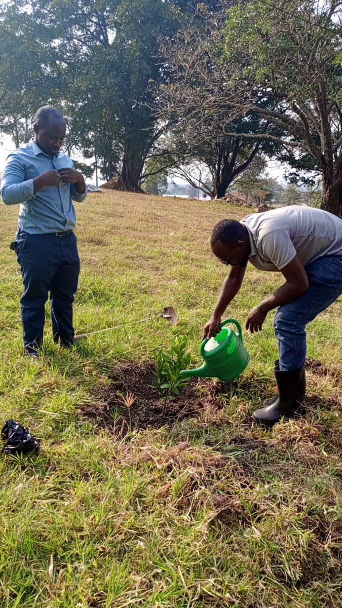 Denis Musinguzi🇺🇬 tweet media