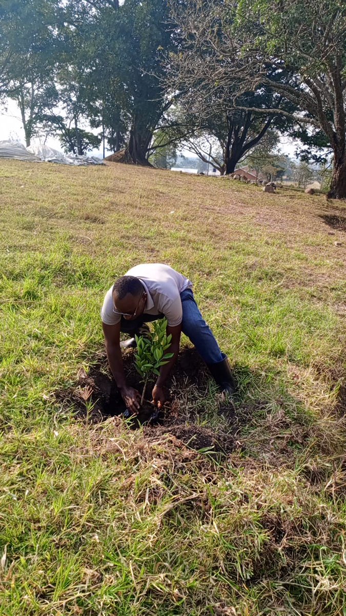 Denis Musinguzi🇺🇬 tweet media