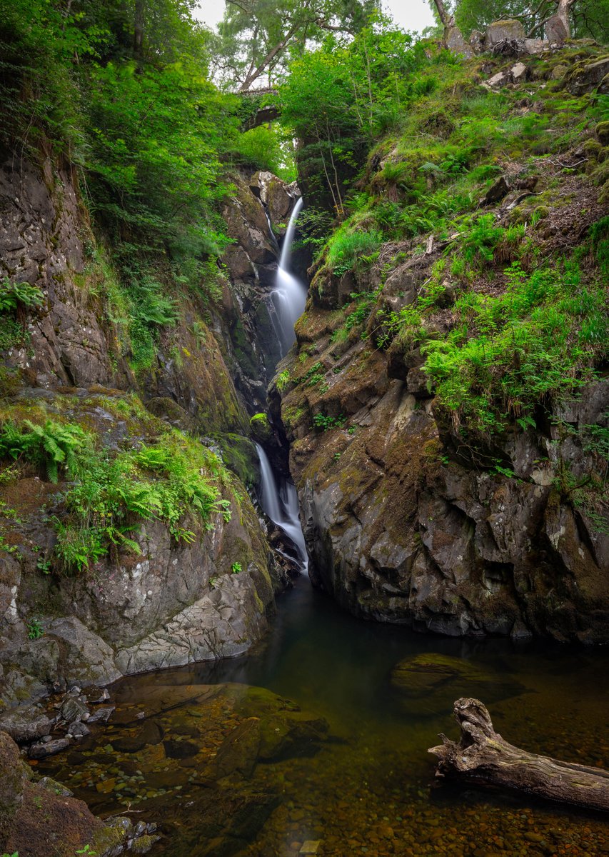 VisitEden's tweet image. Visit the National Trust's Aira Force, where a series of waterfalls plunge through an attractive wooded ravine. Aira Force drops an impressive 65ft. It is the perfect place for a family walk and picnic. Look out for red squirrels along the way!
orlo.uk/ryy3u