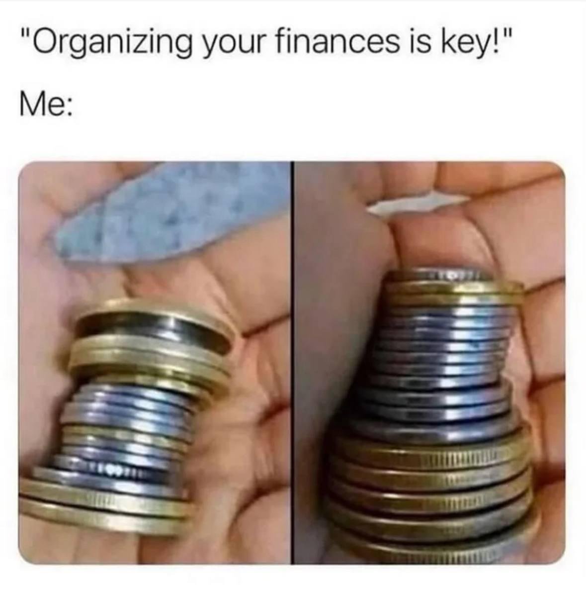 iit_fun's tweet image. everyone during the bear market