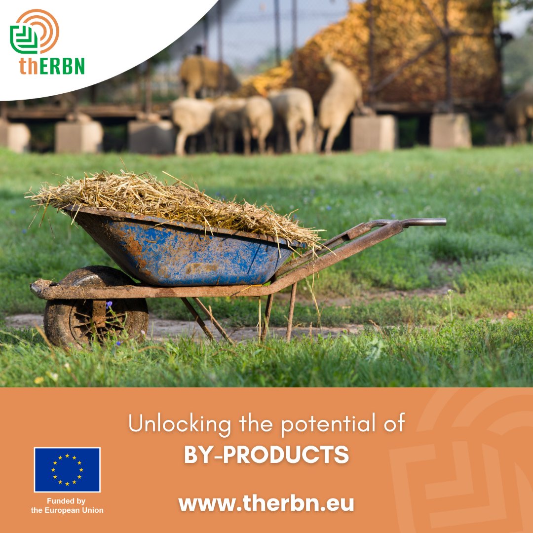 By-products aren’t waste — they’re a starting point💡

Straw, manure, prunings: all hold untapped value in circular bioeconomy systems.

At thERBN, we promote practical ways to reuse them. ♻️

🌱 Let’s rethink what we leave behind.

👉 therbn.eu