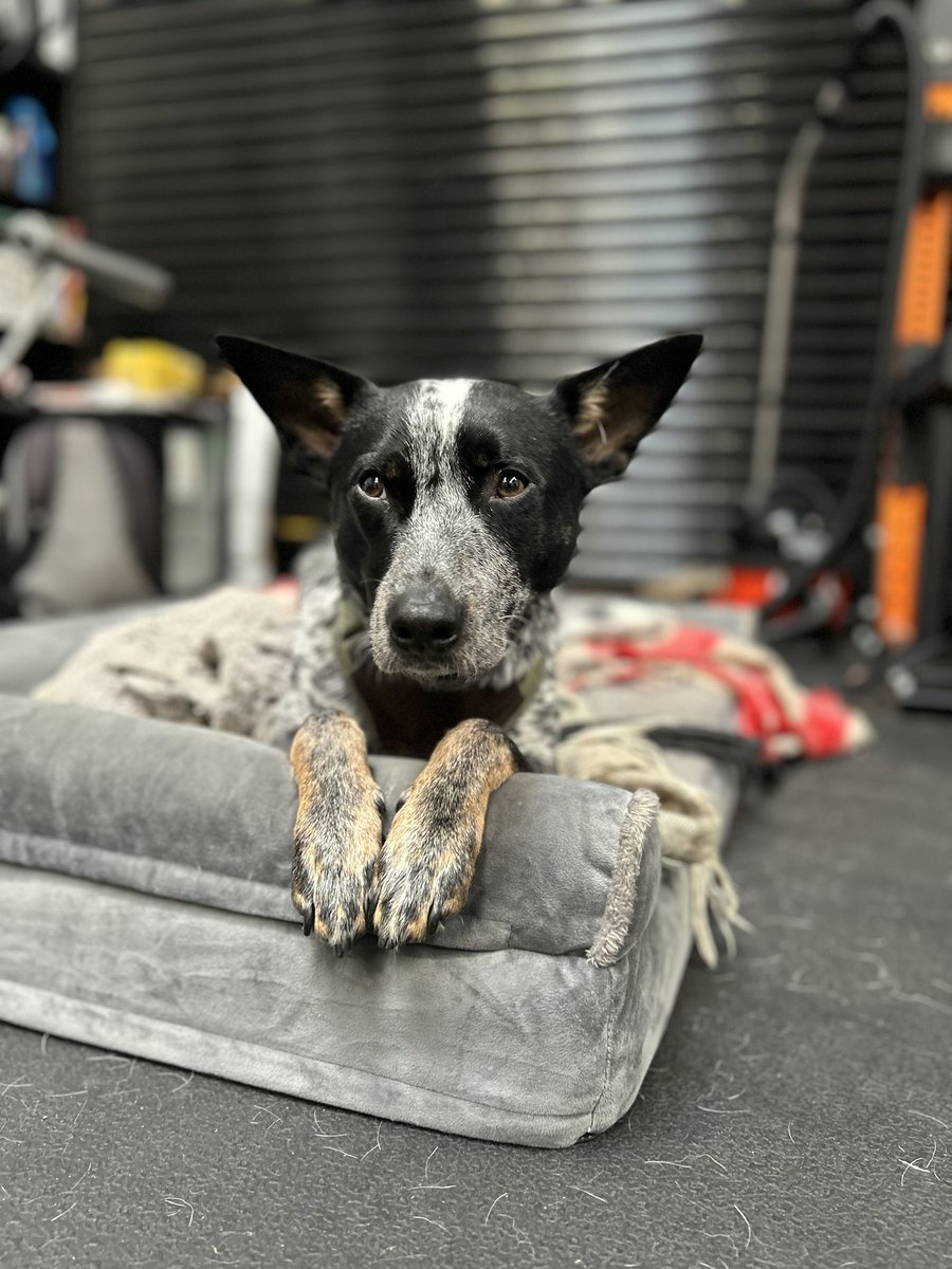 look at how handsome my boy is.