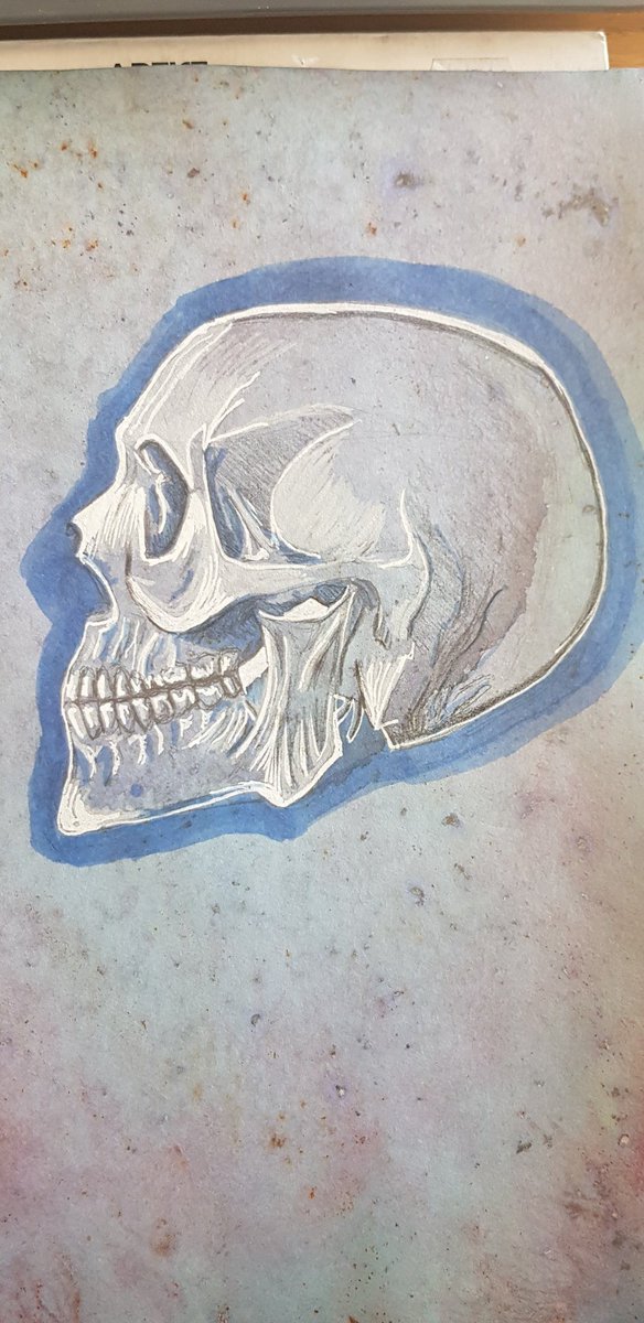 My art skull in profile #myart #skull #Sweden #gävle #skutskär #artwork