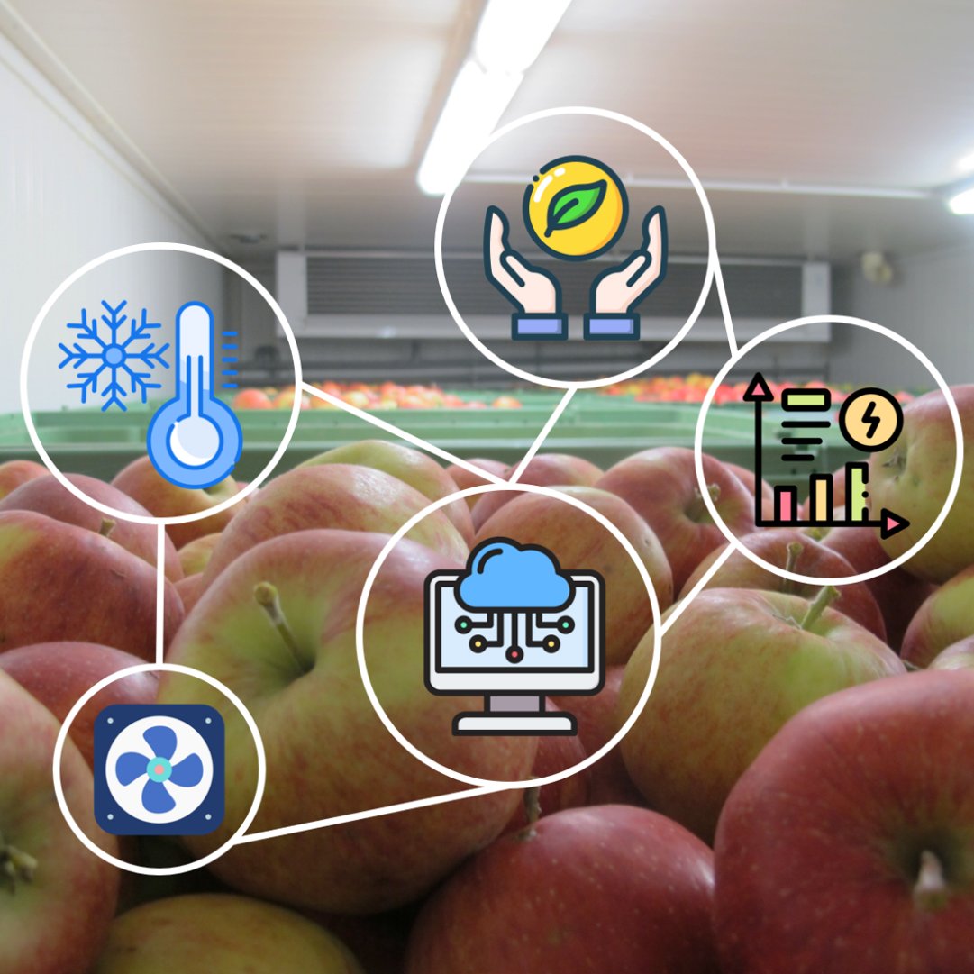 Nacherntephysi1's tweet image. 🚀 Kick-Off “Digital Fruit Storage”! Today we’re kicking off our new Interreg ABH project “Digital Fruit Storage” in collaboration with #Agroscope Wädenswil, HS Weihenstephan Triesdorf #HSWT, and the #KOB.