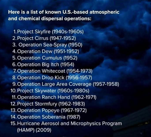 Truth Seeker tweet media