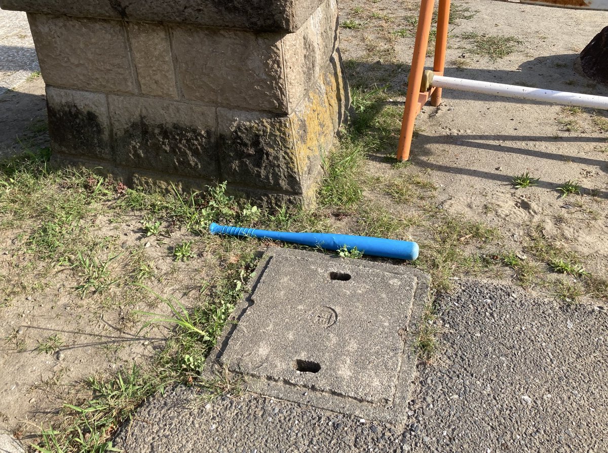 toshivoice11's tweet image. 夏っぽい落とし物