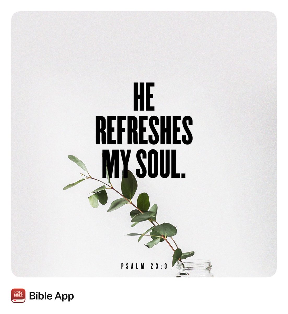JWLee3427's tweet image. “he refreshes my soul. He guides me along the right paths for his name’s sake.”
Psalms 23:3 NIV