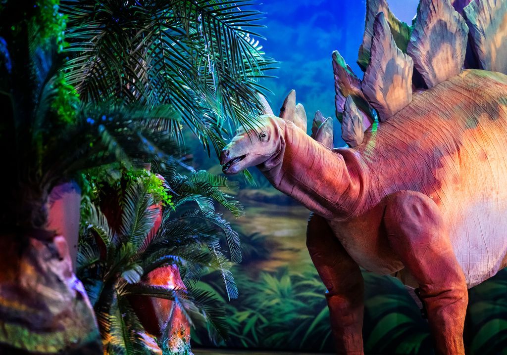 RiverfrontArts's tweet image. Only 100 tickets remaining for 'Natural History Museum Presents Dinosaurs Live' π¦π¦
Go on a pre-historic journey together to the Triassic, Jurassic and Cretaceous periods and watch the life-like dinosaurs come alive right on stage!
π 7 Sept
ποΈ buff.ly/XdPE2Cr