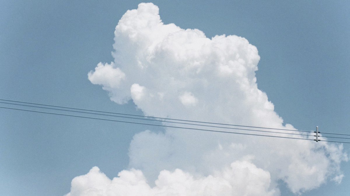 atmarkaoi's tweet image. summer