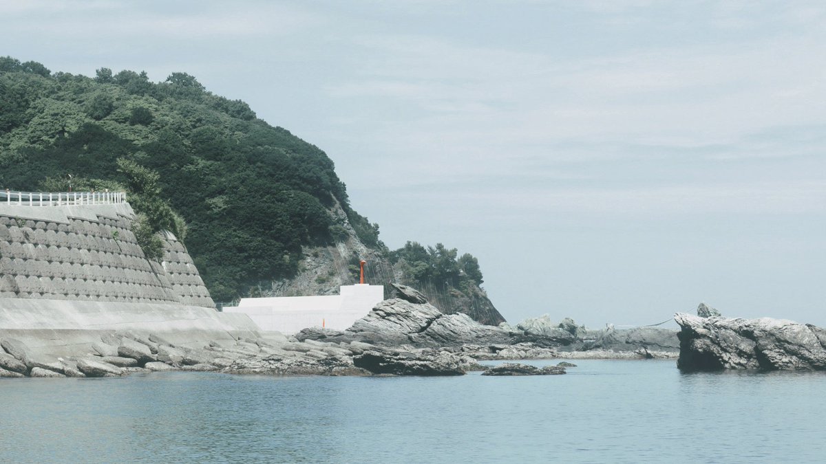 atmarkaoi's tweet image. summer