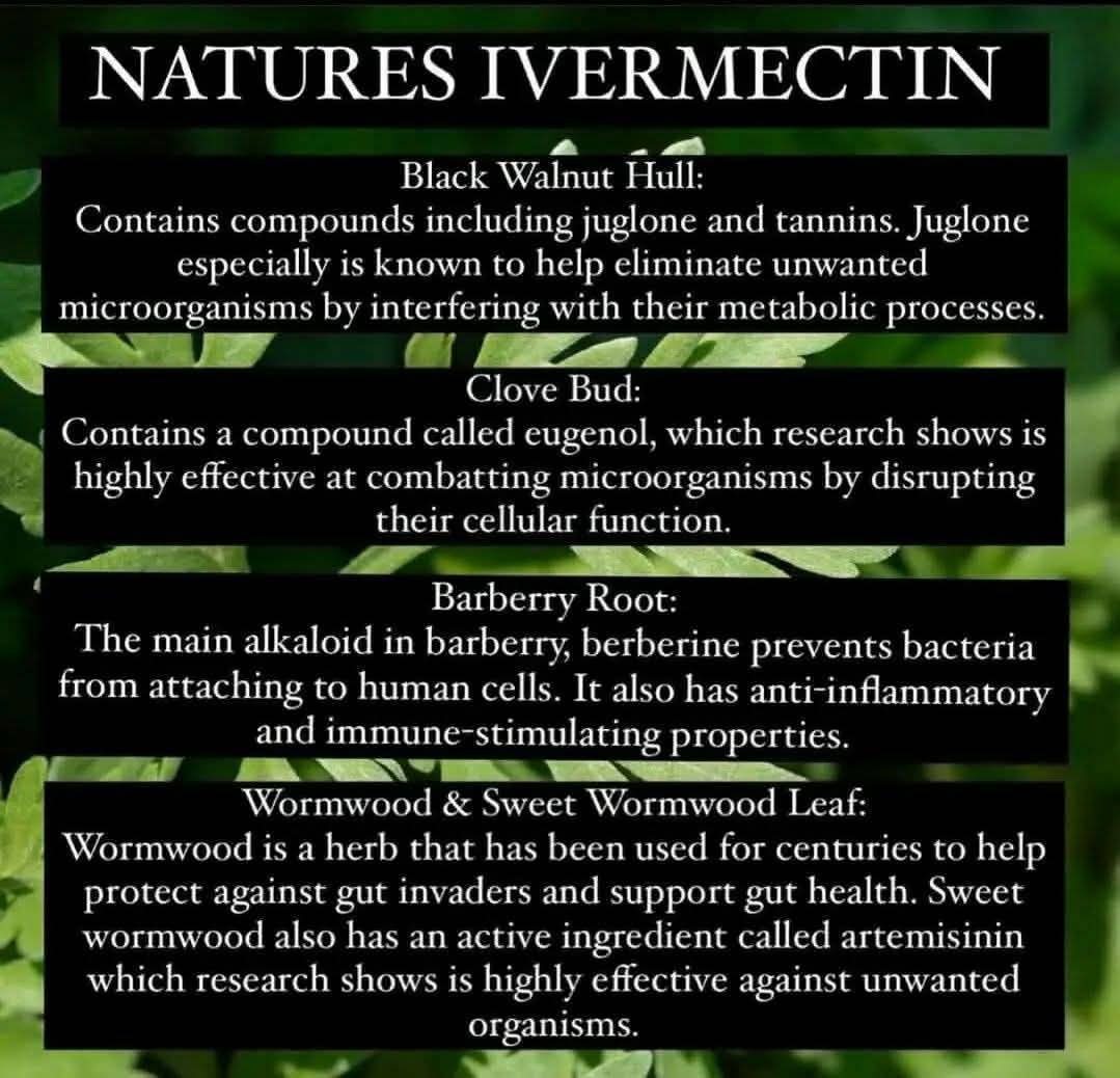 Truth Seeker tweet media