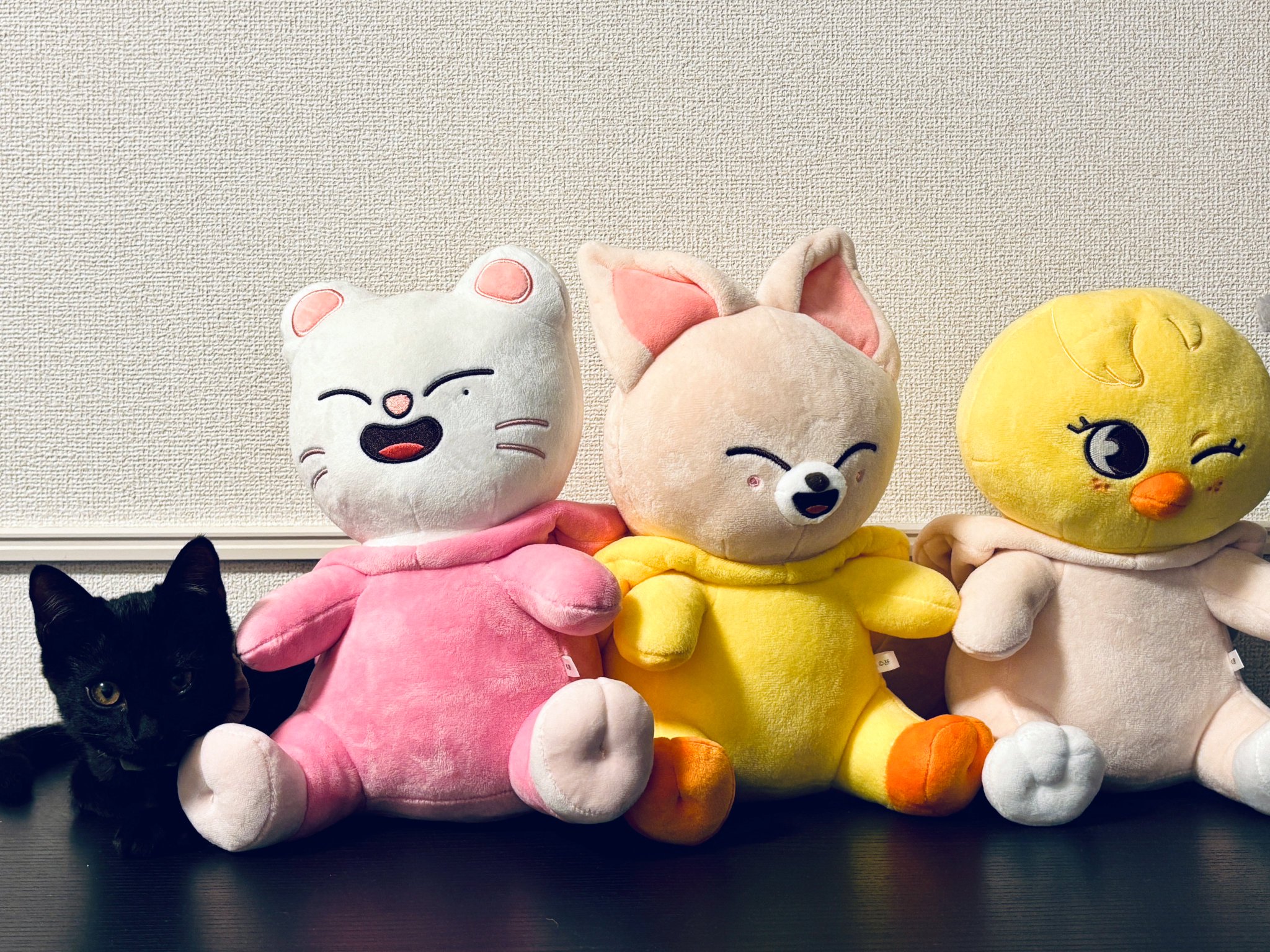 猫ページ໒꒱· ゜ chiba on X: 