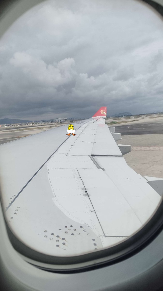 BadAtThings_'s tweet image. He&apos;s coming with me