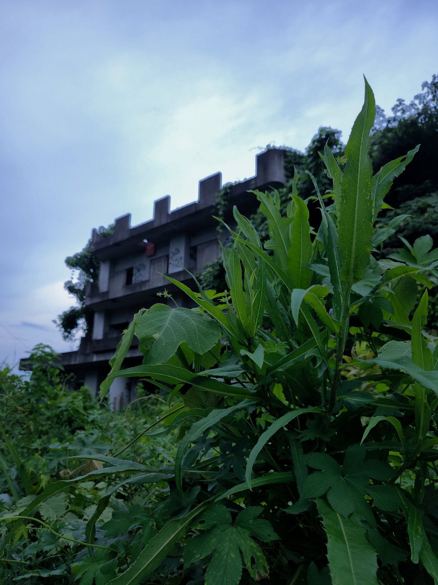 anzendie1's tweet image. 孤城。