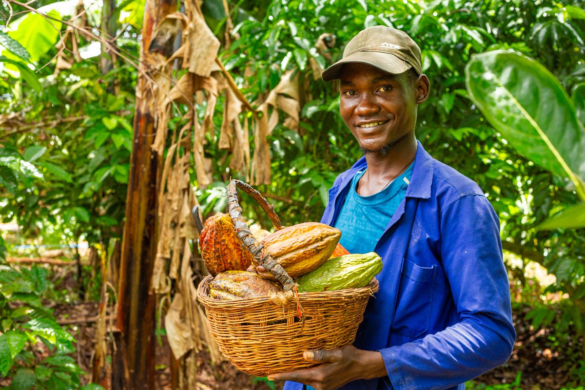MAAIF_Uganda's tweet image. Coffee and Cocoa value chains contribute to 36.8% increase in export earnings for Uganda.
Details from @mofpedU report as published via @newvisionwire
🔗newvision.co.ug/category/news/…
#AgricultureUG
#MAAIFMediaTracker
@FrankTumwebazek
@PS_MAAIF
