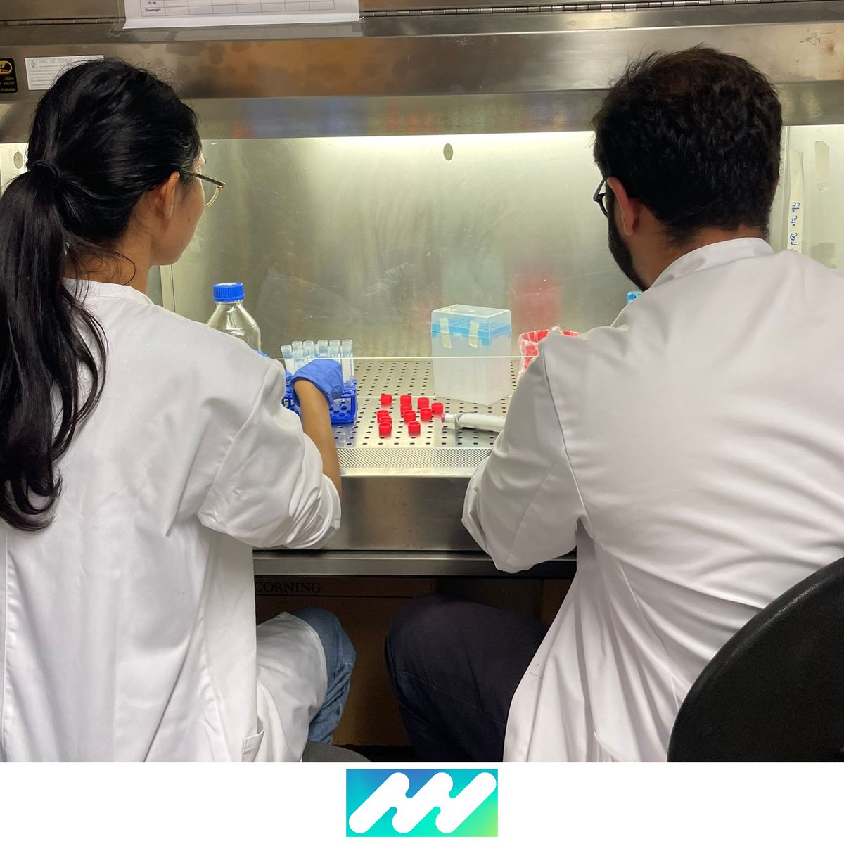 iPlantMicro's tweet image. It’s July at @itqbnova, that means it’s time for Summer Science 2025!☀️🧪
This year, we’re thrilled to host Mariana and Henrique, who will be training with us to explore how beneficial microbes colonize different crops under various stresses.
Welcome aboard!🌱🔬
@greenit_bio4sus