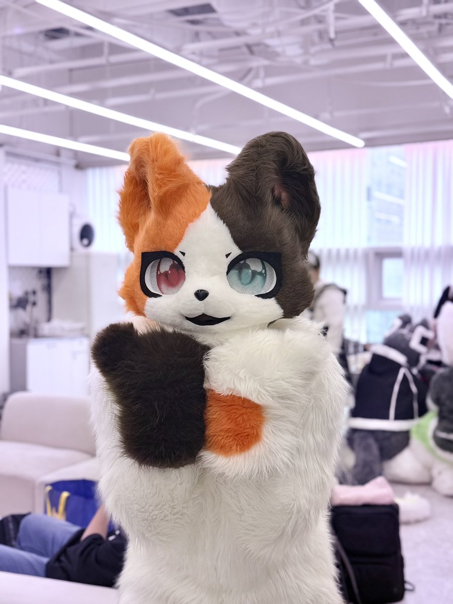 아잇 귀여워라~

<a href="/NightyCemetery/">밤낮묘호(묘양/밤낮)</a>