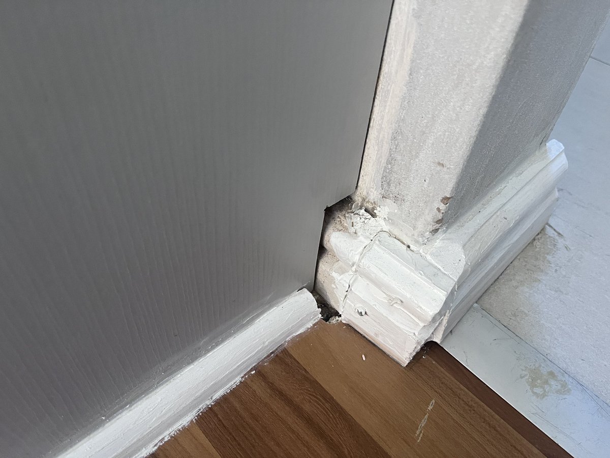 Mxolisi Jaza tweet media