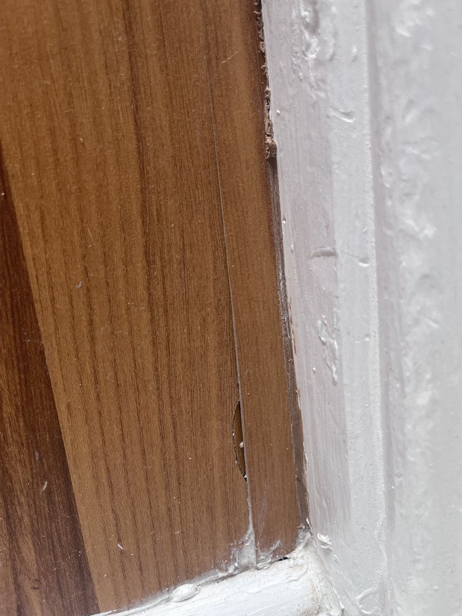 Mxolisi Jaza tweet media