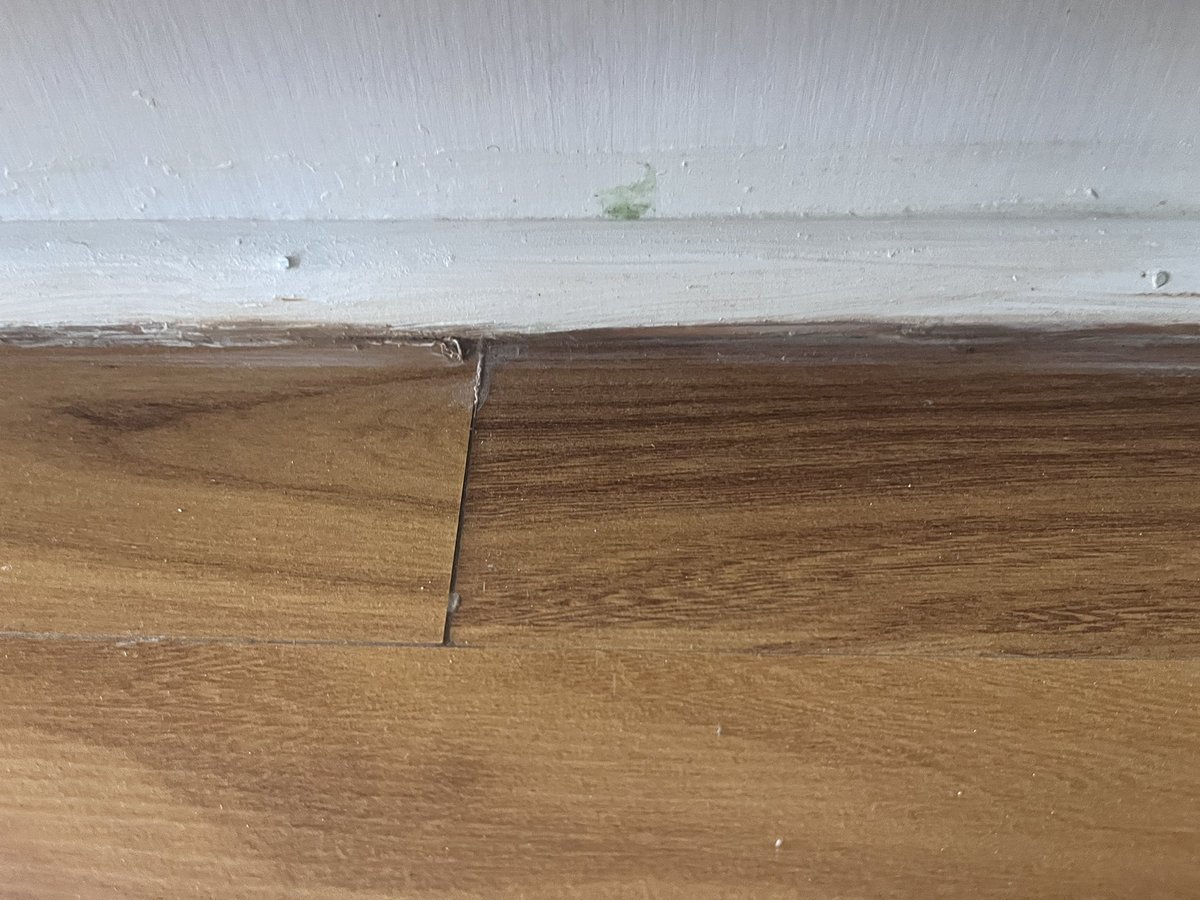 Mxolisi Jaza tweet media