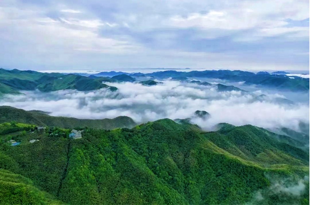 IMTAOFFICIAL's tweet image. Moganshan: From "Mountain Community" to "World's Premier Homestay Destination"🌵🌱
During the scorching summer months, Moganshan attracts countless visitors with its cool and pleasant climate. Located in #Deqing County, Zhejiang, Moganshan has become one of China's top four…
