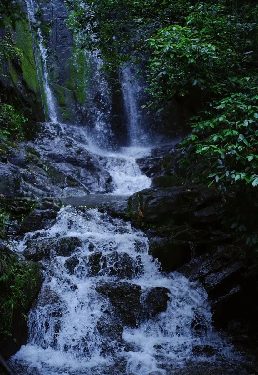 IMTAOFFICIAL's tweet image. Moganshan: From "Mountain Community" to "World's Premier Homestay Destination"🌵🌱
During the scorching summer months, Moganshan attracts countless visitors with its cool and pleasant climate. Located in #Deqing County, Zhejiang, Moganshan has become one of China's top four…