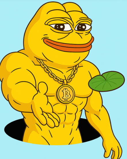 Bitcoin Pepe tweet media