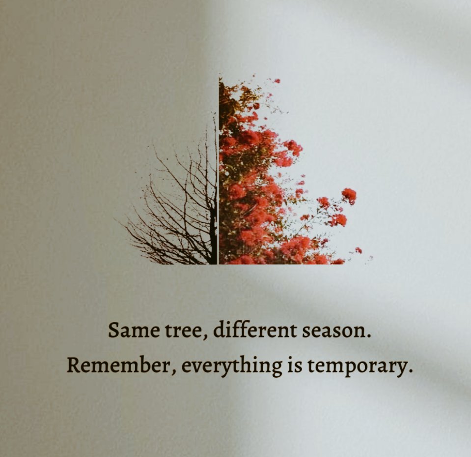 🍂 (@lovandfear) on Twitter photo 