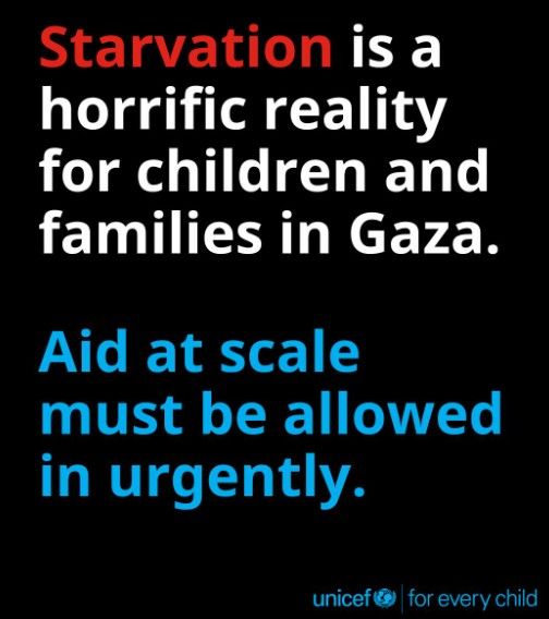 UNGeneva's tweet image. People in #Gaza are starving to death.
@unicef is warning that deadly malnutrition among children is reaching catastrophic levels.
Humanitarian aid at scale is urgently needed.
Safe, unrestricted access into Gaza must be granted to save lives.